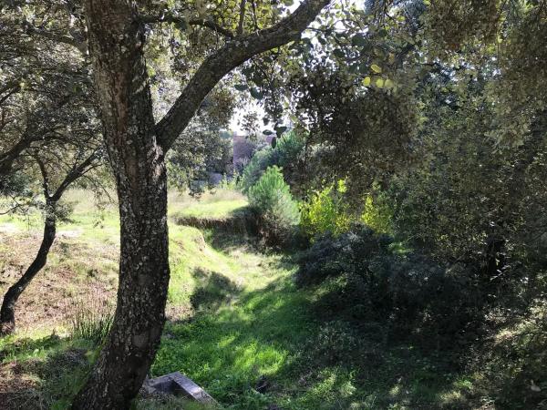 Terreno en Ciudalcampo