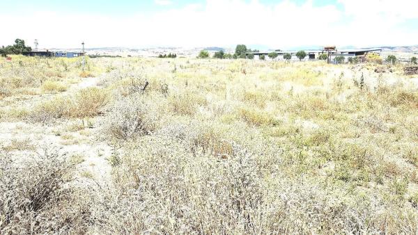 Terreno en camino de Torrelaguna