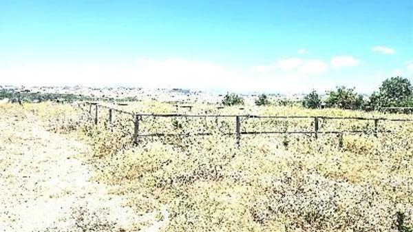 Terreno en camino de Torrelaguna