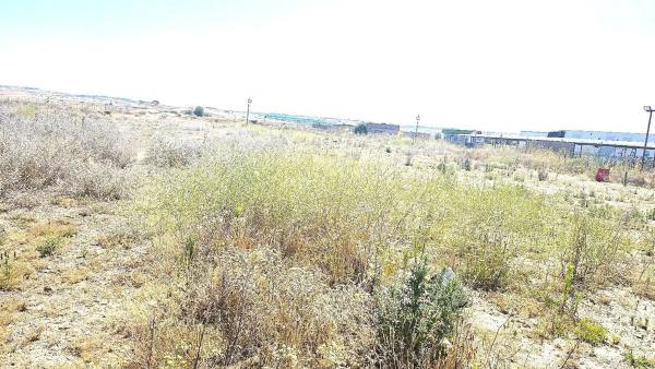 Terreno en camino de Torrelaguna