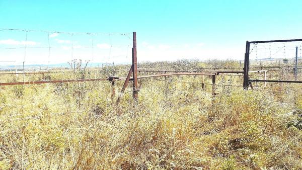 Terreno en camino de Torrelaguna