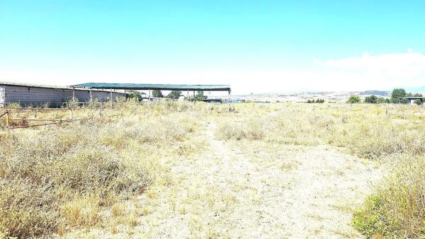 Terreno en camino de Torrelaguna