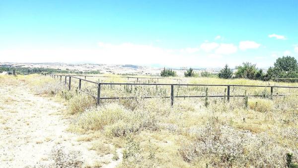Terreno en camino de Torrelaguna