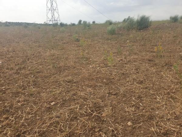 Terreno en calle Hijalvo, km 10
