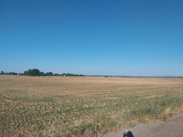 Terreno en camino de la Carrera