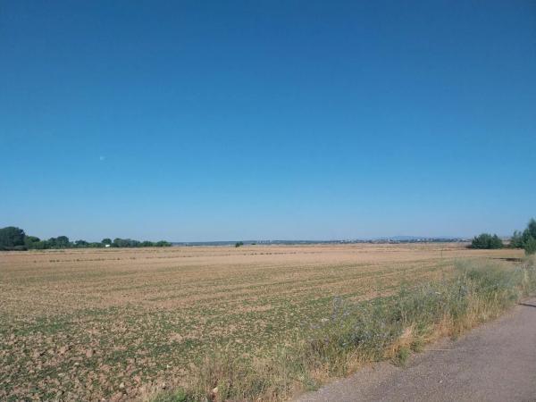 Terreno en camino de la Carrera