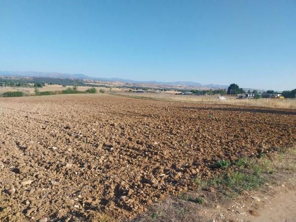 Terreno en camino de la Carrera