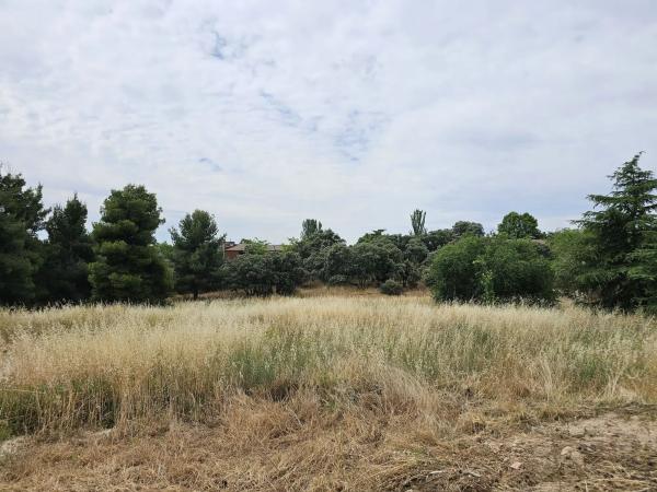 Terreno en La Moraleja urbanización