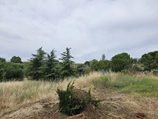 Terreno en La Moraleja urbanización