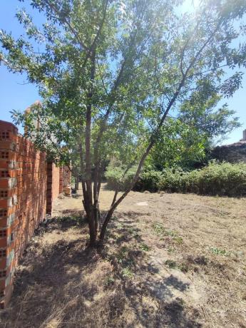 Terreno en calle de Jiménez Díaz, 4