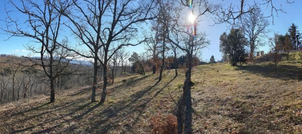 Terreno en calle Las Nieves, 14