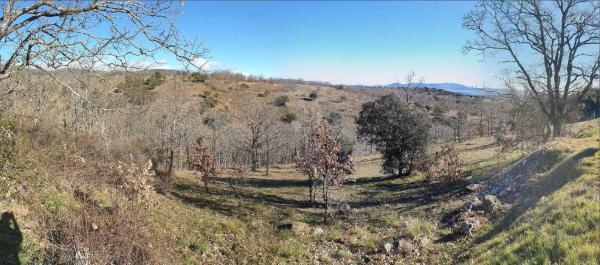 Terreno en calle Las Nieves, 14