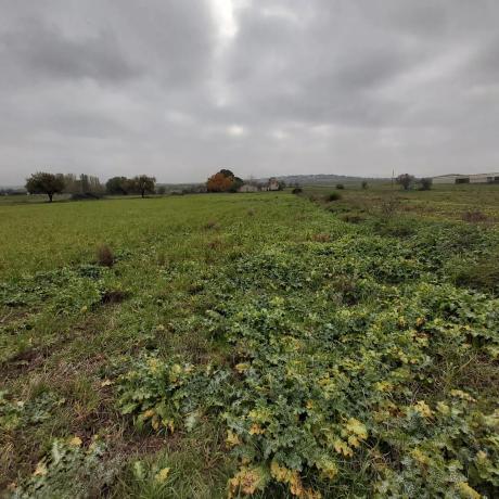 Terreno en Poligono s/n