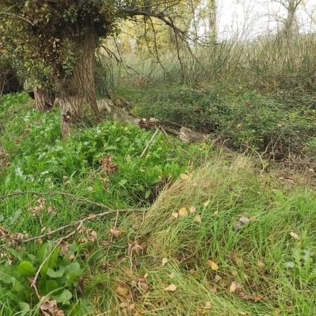 Terreno en Poligono s/n