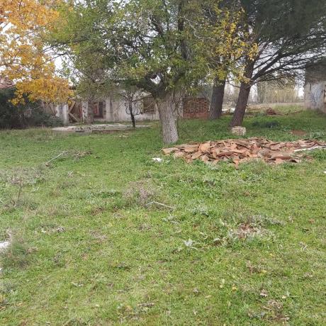 Terreno en Poligono s/n