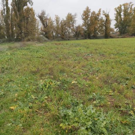 Terreno en Poligono s/n