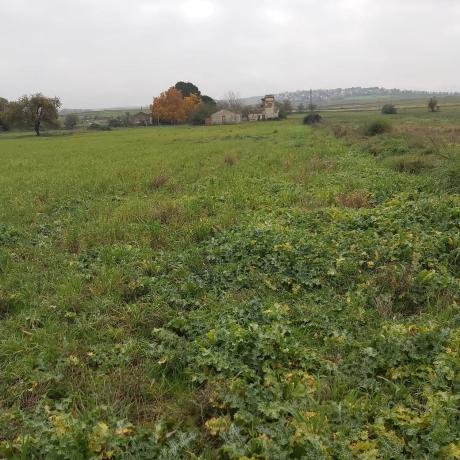 Terreno en Poligono s/n