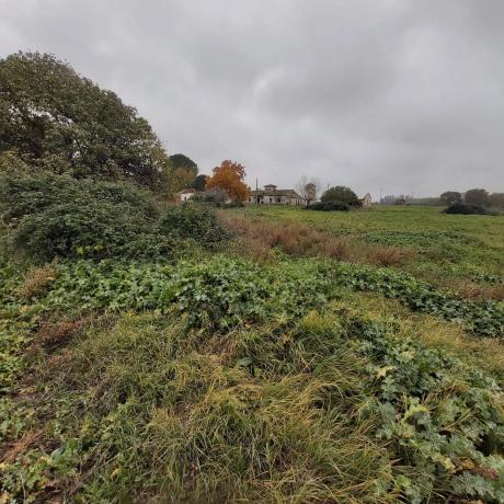 Terreno en Poligono s/n