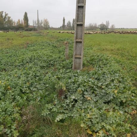 Terreno en Poligono s/n