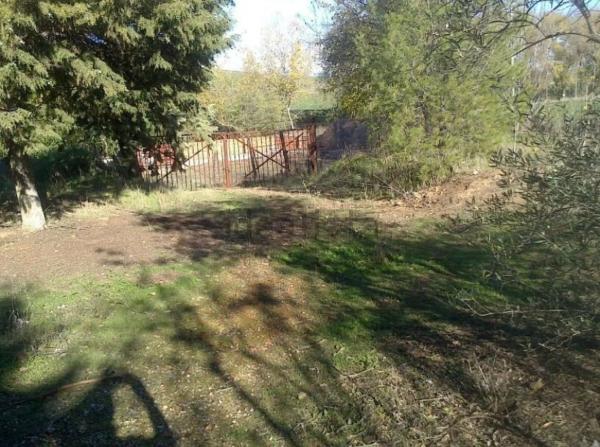 Terreno en calle San Roque, 54