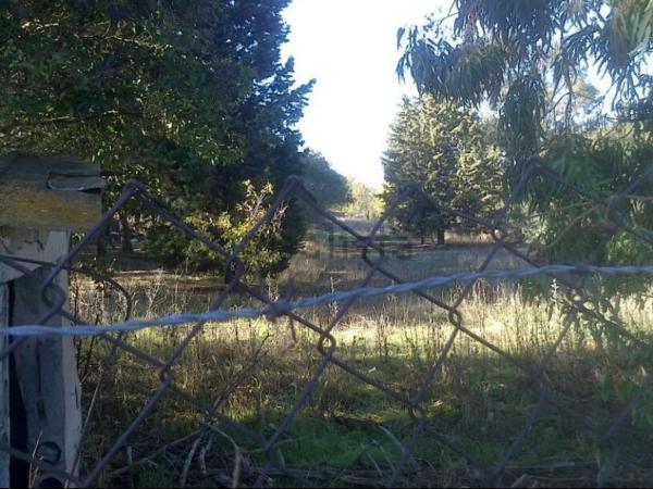 Terreno en calle San Roque, 54