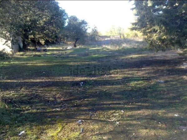 Terreno en calle San Roque, 54