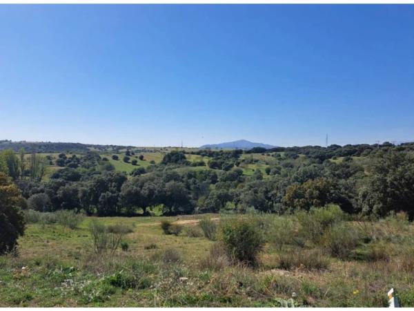 Terreno en calle Colodreros, 7 -5