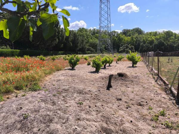 Terreno en Diseminado el Callejon Cm
