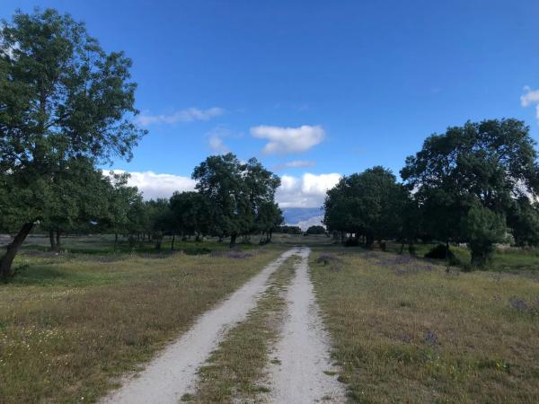 Terreno en San Andrés
