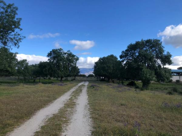 Terreno en San Andrés