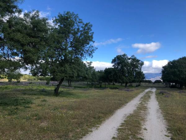 Terreno en San Andrés