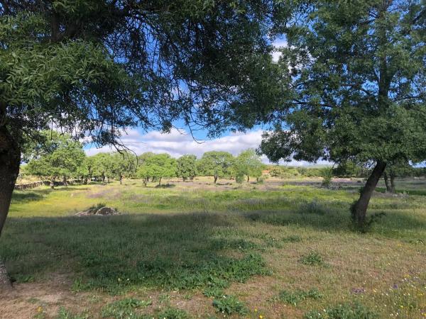 Terreno en San Andrés