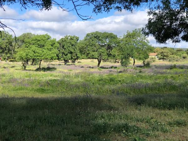 Terreno en San Andrés