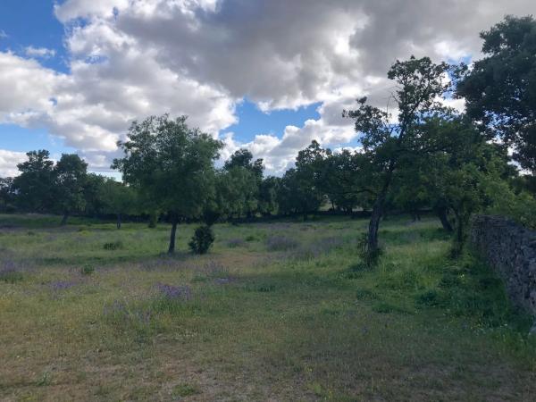 Terreno en San Andrés