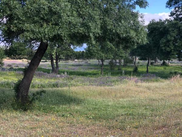 Terreno en San Andrés