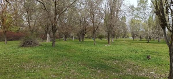 Terreno en calle Jacinto Benavente, 18