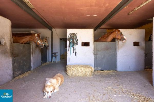 Terreno en poligono valdelandinga