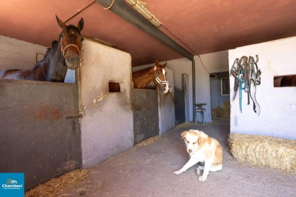 Terreno en poligono valdelandinga