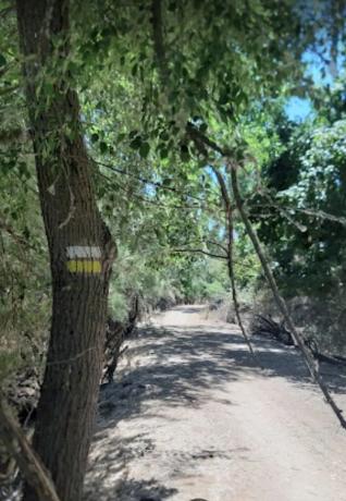 Terreno en calle Jacinto Benavente, 18