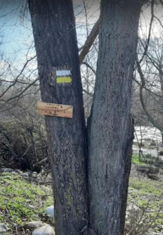 Terreno en calle Jacinto Benavente, 18