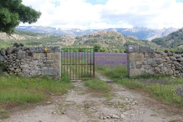 Terreno en pedriza s/n