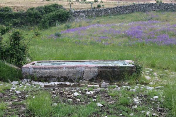 Terreno en pedriza s/n