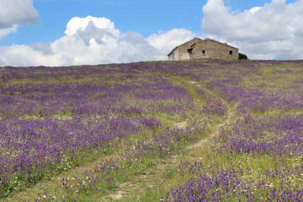 Terreno en pedriza s/n