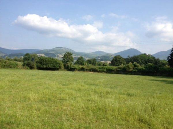 Terreno en carretera de Navalafuente s/n