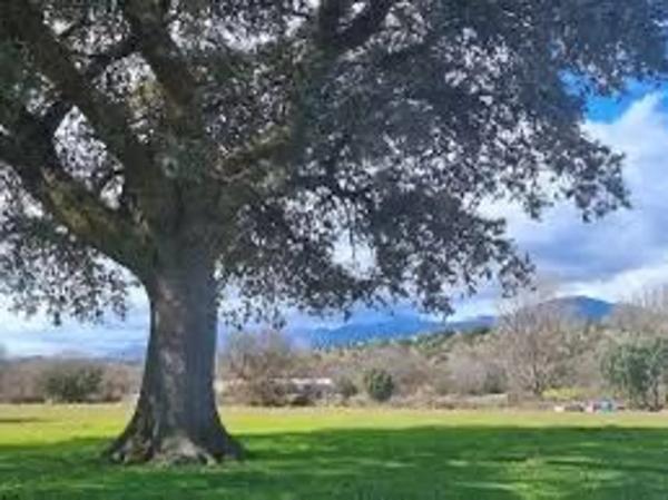 Terreno en carretera de Navalafuente s/n