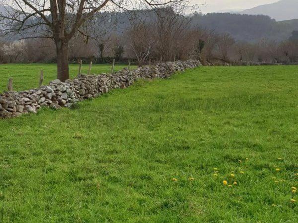 Terreno en carretera de Navalafuente s/n