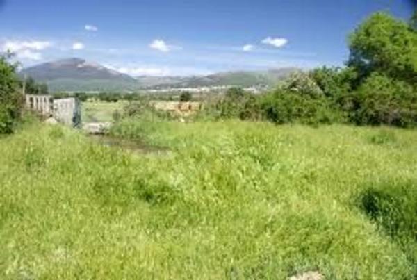 Terreno en carretera de Navalafuente s/n