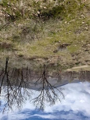 Terreno en camino de las Cercas, 22