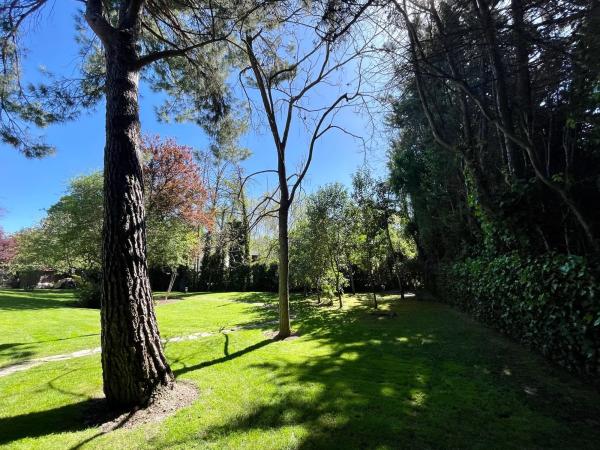 Terreno en La Moraleja urbanización