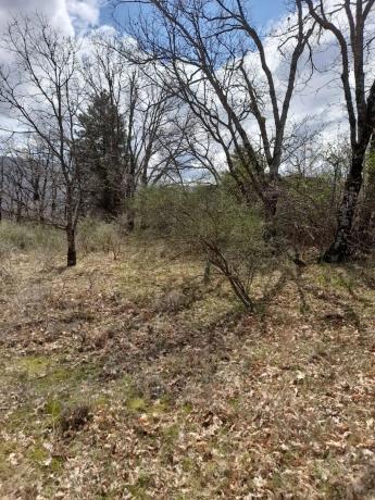 Terreno en camino de las Cercas, 22